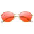 Davidson  UV Protected Sunglasses