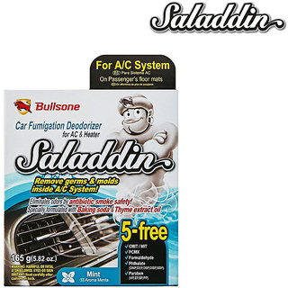 Saladdin (Fumigation Deodorizer) For Car Air Conditioning system- Mint