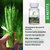 Vringra Wheatgrass Capsules - Immunity Booster - Wheatgrass Powder Capsules -  Wheatgrass Extract 60 Cap.