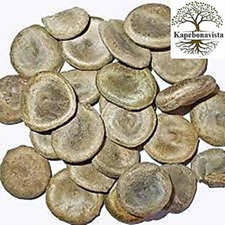                       Kapebonavista Kuchla Seeds Nux Vomica Seed Strychnos Nuxvomica 150gm                                              