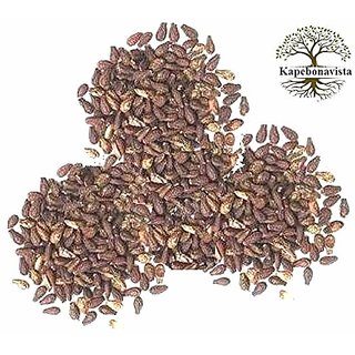                       Kapebonavista Shivlingi Seed Sivlingi Beej Bryonia Laciniosa 200 g                                              