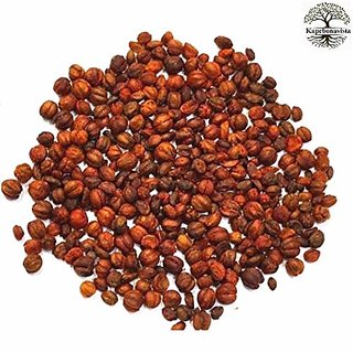                       Kapebonavista Malkangni Seed Jyotishmati Celastrus Paniculatu Malkakni Seed 100g                                              