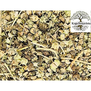 Kapebonavista Gokharu Gokhru Chota Tribulus Terrestirs Small Caltrops 150gram Kapebonavista Gokharu Gokhru Chota Tribulus Terrestirs Small Caltrops 150gram