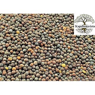 Kapebonavista Gobi Beej Cabbage Patta Vegetable Seeds Brassica Oleracea Seeds 50 Pcs for Farming Kapebonavista Gobi Beej Cabbage Patta Vegetable Seeds Brassica Oleracea Seeds 50 Pcs for Farming
