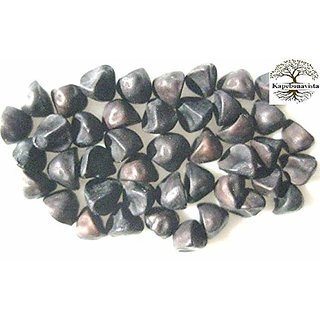 Kapebonavista Kala Dana Shyam beeja Ipomoea Hederacea Seeds 100g from Own Farm Kapebonavista Kala Dana Shyam beeja Ipomoea Hederacea Seeds 100g from Own Farm