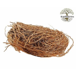 Kapebonavista Khus Khus Vatti Veru Vetiver Grass Chrysopogon zizanioides (150 gm) Kapebonavista Khus Khus Vatti Veru Vetiver Grass Chrysopogon zizanioides (150 gm)