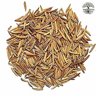                       Kapebonavista Kadwa Indrajau Inderjo Kadwa Holarrhena Pubescens Seeds 100g                                              