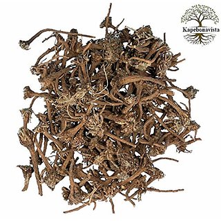 Kapebonavista Akarkara Dried Root Anacyclus Pyrethrum Pellitory 100Gms from Own Farm Kapebonavista Akarkara Dried Root Anacyclus Pyrethrum Pellitory 100Gms from Own Farm