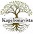 Kapebonavista Thai Basil Kama Kasturi 2 Month Old Plant Sweet Sabja Seeds Tukmaria Falooda Living Plant with Poly Bag