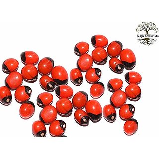 Kapebonavista Lal Gunja Natural Chirmiti Bead Seed Beej 50 Pcs Kapebonavista Lal Gunja Natural Chirmiti Bead Seed Beej 50 Pcs