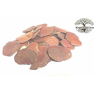                       Kapebonavista Palas Beej Tesu Dhak Kimshuka Palas Seed Papda Teak Parrot Tree Butea Monosperma 100 g                                              