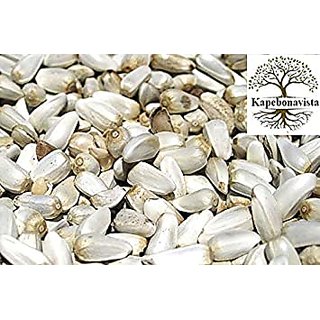                       Kapebonavista Karan Beej Safflower Seed Kusum Beej Seed Carthamus Tinctorius 100g                                              