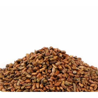 Kapebonavista Chakramarda Cassia tora Linn Sickle Senna 100g Kapebonavista Chakramarda Cassia tora Linn Sickle Senna 100g