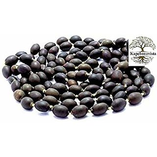                       Kapebonavista Kamal Gatta Lotus Seed Beej Nelumbium Nucifera 300gm                                              