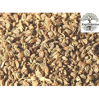                       Kapebonavista Karfas Ajmod Apium Celery Apium Graveolens Seed 100g                                              