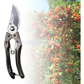 Kapebonavista Champagne Various Pruning Shears Cutter Garden Plant Scissors Branch Yard Pruner Snip Tool Kapebonavista Champagne Various Pruning Shears Cutter Garden Plant Scissors Branch Yard Pruner Snip Tool