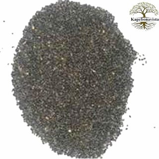 Kapebonavista Jagli Tulsi Bana Tulasi Kali Tulasi Hoary Basil Wild Basil Ocimum canum Seeds 50gm Kapebonavista Jagli Tulsi Bana Tulasi Kali Tulasi Hoary Basil Wild Basil Ocimum canum Seeds 50gm