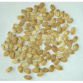Kapebonavista Karela Beej Karale Seeds Bitter Gourd Momordica Charantia 50 Seeds for Farming Kapebonavista Karela Beej Karale Seeds Bitter Gourd Momordica Charantia 50 Seeds for Farming