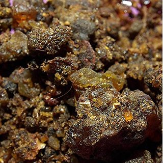 Kapebonavista Guggul Gugal Gugula Dhoop Commiphora Mukul Myrrh 250gms Kapebonavista Guggul Gugal Gugula Dhoop Commiphora Mukul Myrrh 250gms