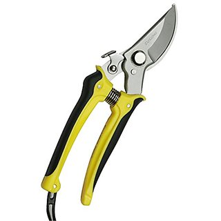                       Kapebonavista 20cm Garden Scissor Hand pruner anvil Branch Shear pruning cut                                              