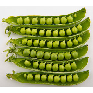                       Vegetables Seeds Peas Imported Best Quality Seeds - 10 Seeds Pack                                              