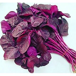                       Red Spinach Rare Vegetables Seeds - 100 Seeds                                              
