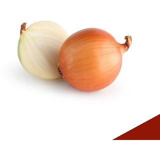                       White Round Onion Vegetables Hybrid Seeds Pack Of 50 Premium Seeds                                              