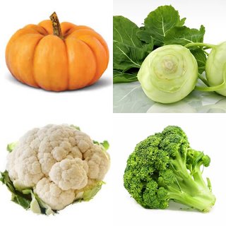                       Four Vegetables Combo OF (Pumpkin Kohlrabi Broccoli and Cauliflower) Hybrid Seeds - 500 Seeds                                              