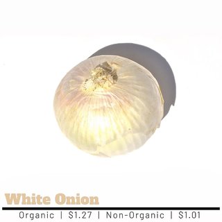                       White Onion Seeds - 100 Premium Seeds Pack                                              
