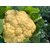 Organic F1 Hybrid Cauliflower Vegetables Seeds Pack of 100 Premium Seeds