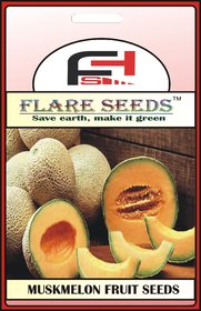 MUSKMELON FRUIT SEEDS - 100 Seeds Pack