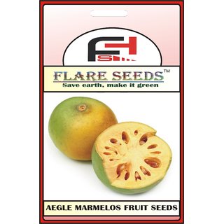                       AEGLE MARMELOS BEL FRUIT SEEDS - 50 Seeds Pack                                              