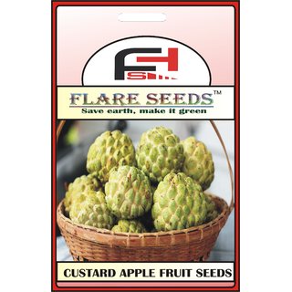                       CUSTARD APPLE BEST QUALITY SEEDS - 50 Seeds Pack                                              