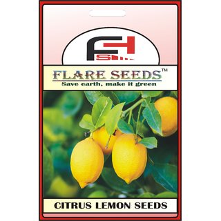                       YELLOW LEMON SEEDS - 50 Seeds Pack                                              