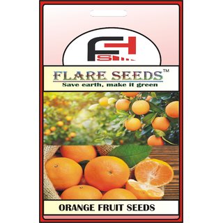                       ORANGE SEEDS - 20 Seeds Pack                                              