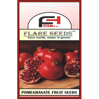                       POMEGRANATE SEEDS - 50 Seeds Pack                                              