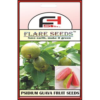                       GUAVA SEEDS - 100 Seeds Pack                                              
