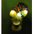 Viji n Jyo Fancy automatic NO/OFF sensor  colour changing mushroom light for bed room-Pack of 1