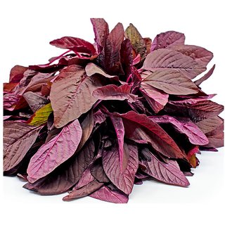                       RED SPINACH AMARANTHUS SEEDS / RED MULAI KEERAI SEEDS                                              