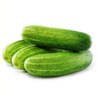                       Vegetable Cucumber Seeds- For your Home Garden/kitchen Garden- 20 Seeds Per Pack                                              