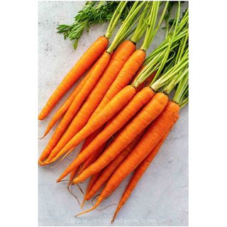                       Orange Carrot Vegetables Seeds for Home Garden                                              