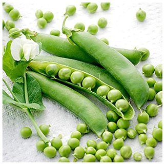                       Green Pea Seeds By National Gardens Seed                                              