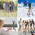 3110 Tripod Stand for Phone and Camera Adjustable Aluminium Alloy Tripod Stand Holder for Mobile Phones  Camera,Photo/V