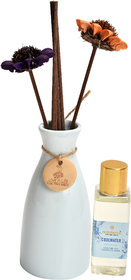 redolance scented reed diffuser aqua oil 50ml ceremic pot blue colour LBH (INC) 2.5X2.5X5 for home, office and spa