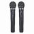 EASTAR LWM-328 PROFESSIONAL DUAL HANDHELD MICROPHONE WITH RECEIVER
