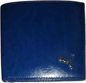 SAGIR ITALIAN LEATHER (Color Blue) Artificial Leather Regular Wallet for Men
