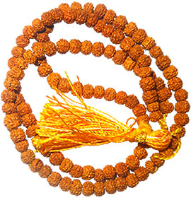 only4you Energised Certified 5 Face (Pancha Mukhi) Five Mukhi Rudraksha Mala 10-11mm 108 Beads