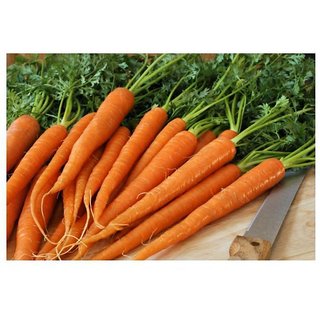                       Orange Carrot Vegetables Quality Vegtables Seeds - Pack Of 50 Seeds Prmium Quality                                              
