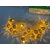 EXCLUSIVE NEW lantern 16 ball shaped decorative lights For Diwali