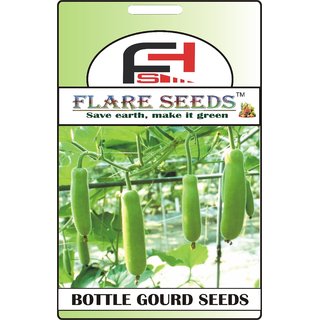                       FLARE SEEDS Bottle Gourd Long Seeds - 20 Seeds Pack                                              